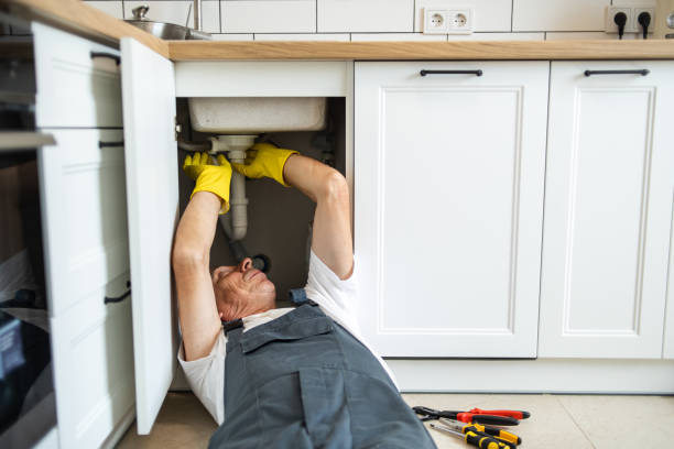 Best Local Plumber Services  in Troy, PA